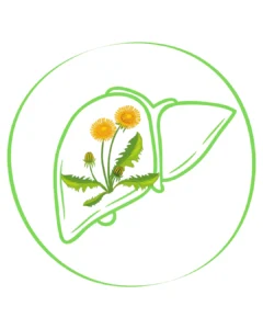 Infusion para el Higado