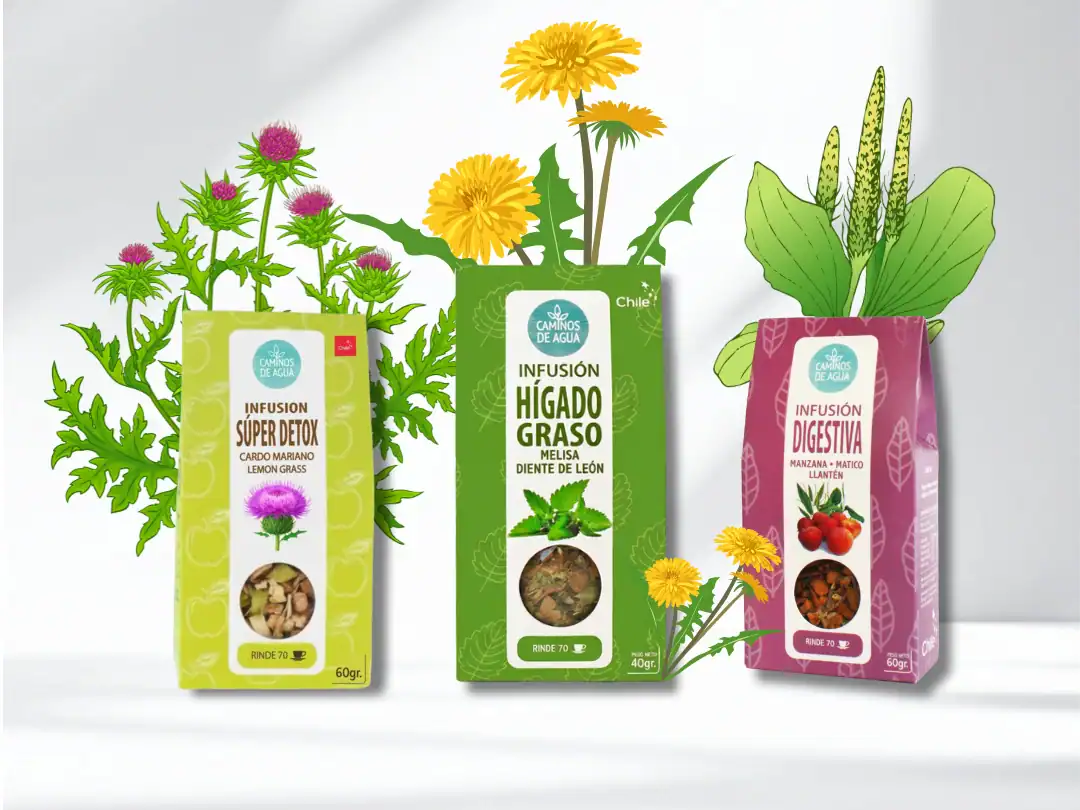 Hierbas medicinales